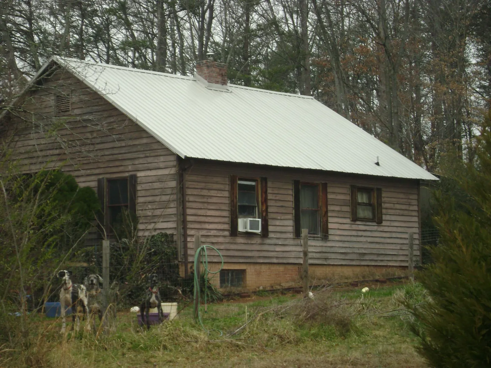 White metal roof on an old wood sided farmhouse, from a Asphalt Shingle Roof Repair job in Ellenton